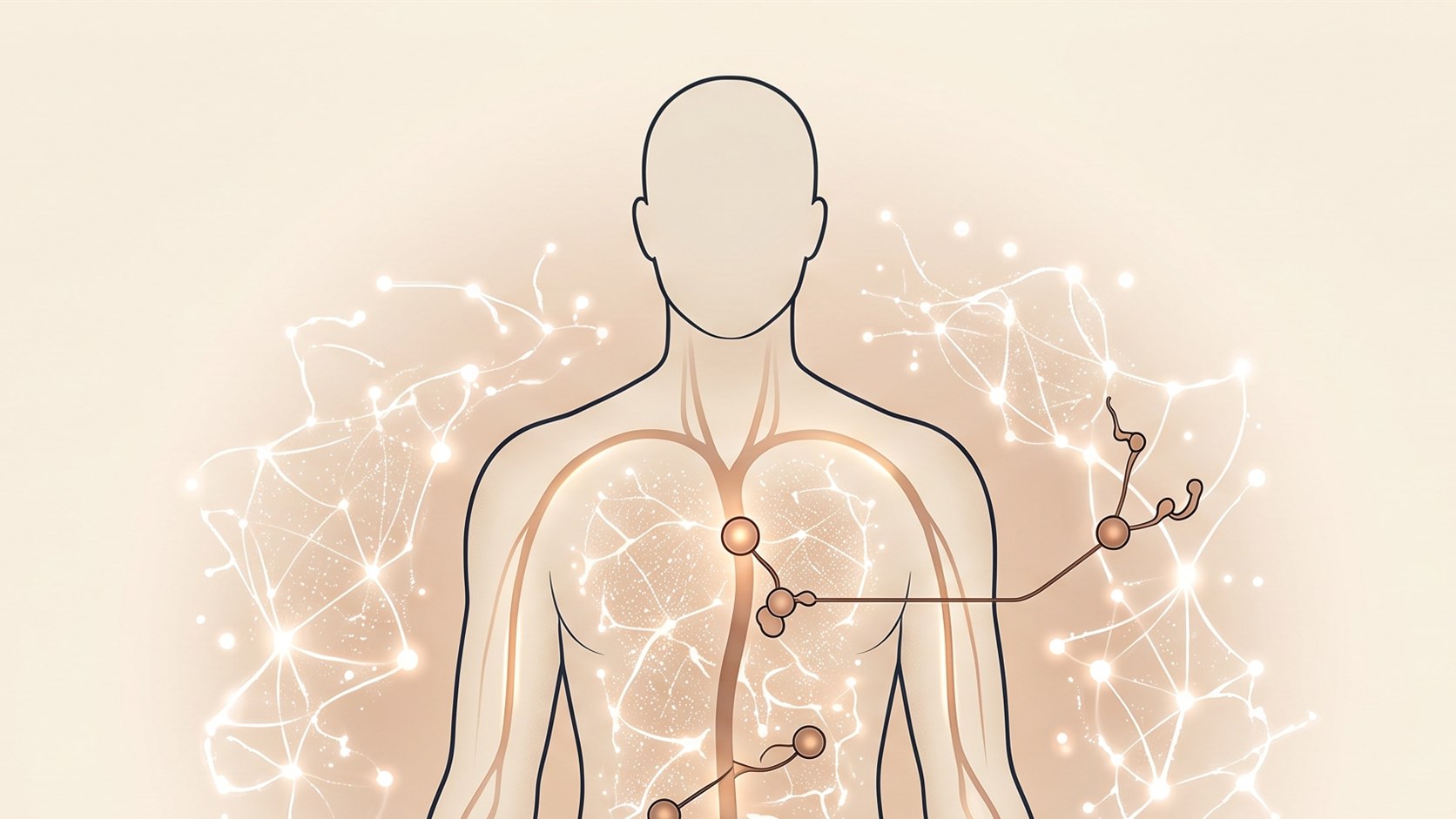 Menschliche Silhouette mit leuchtendem Netzwerk aktiver Proteine und Signalwege
